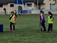 Copie de  (1)