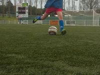 Copie de  (1)