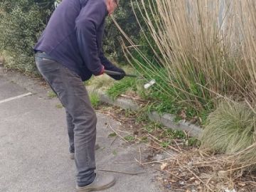 💪 Huile de coude et bonne humeur !

Regardez notre Jean-Yves Losq en pleine action ! 🛠️ Aujourd'hui, c'était opération chasse aux mauvaises herbes. Parce...